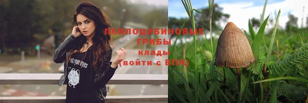 2c-b Абинск