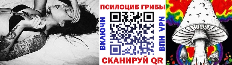 где купить наркоту  Лосино-Петровский  Галлюциногенные грибы Cubensis 